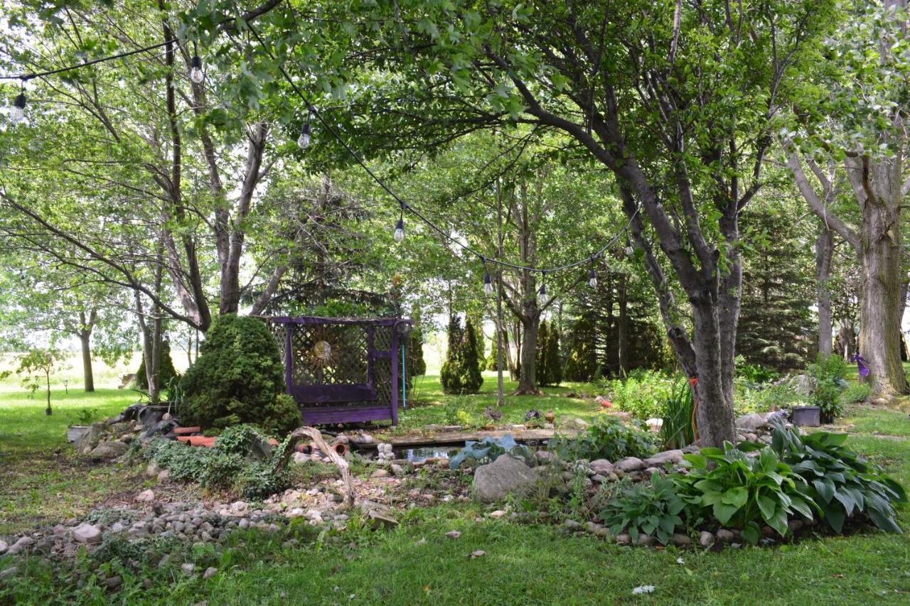 Birds Point Cottage On A Cliff Facing Lake Erie. Wheatley Exteriör bild