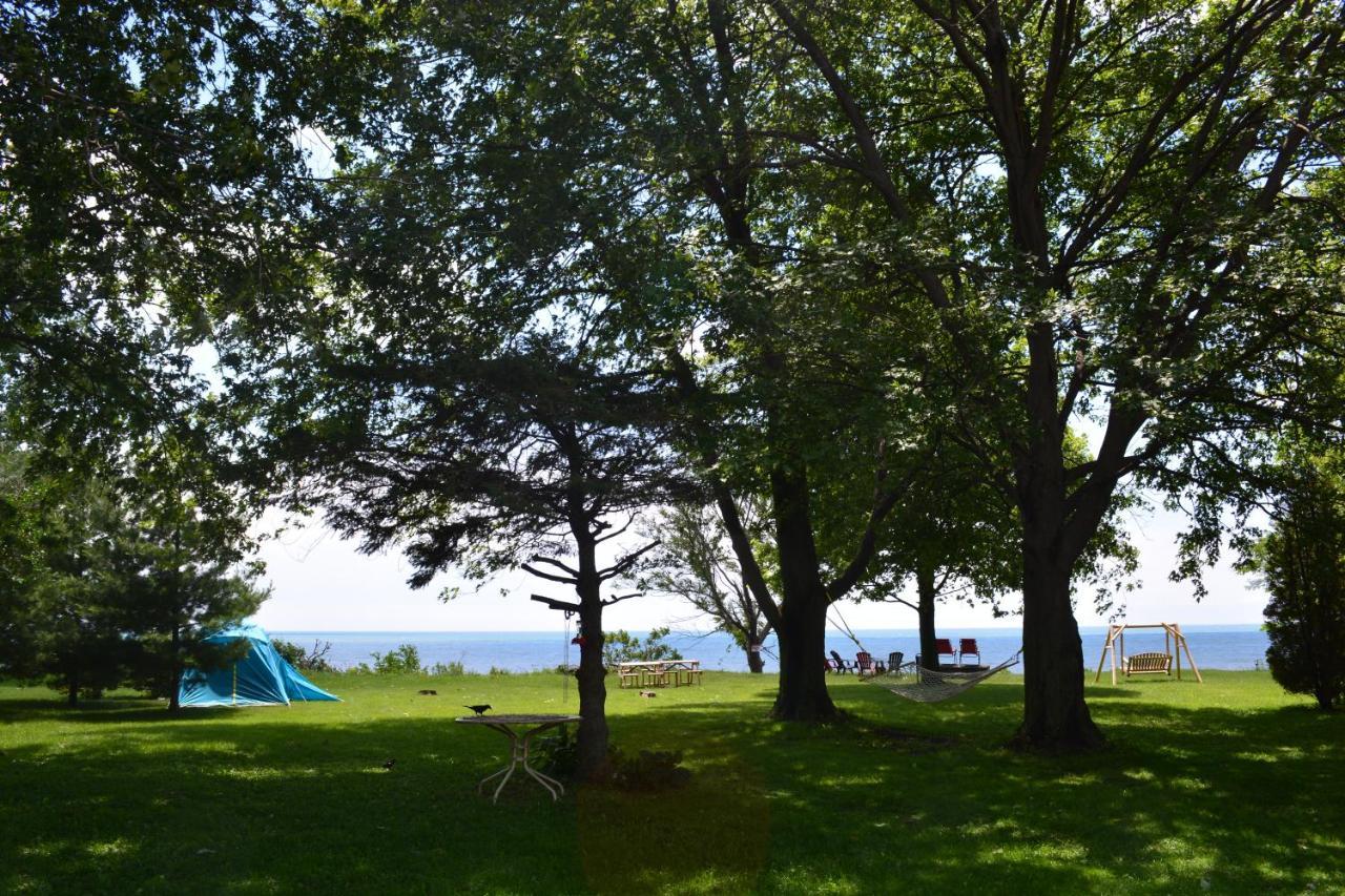 Birds Point Cottage On A Cliff Facing Lake Erie. Wheatley Exteriör bild